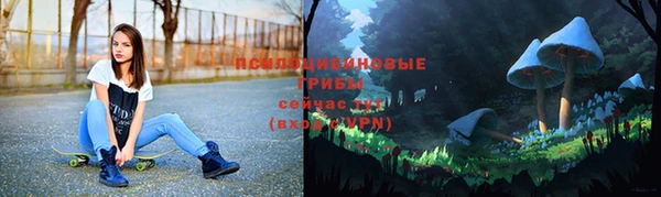 шишки Гусиноозёрск