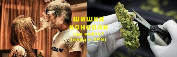 шишки Гусиноозёрск
