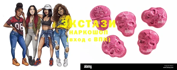 шишки Гусиноозёрск