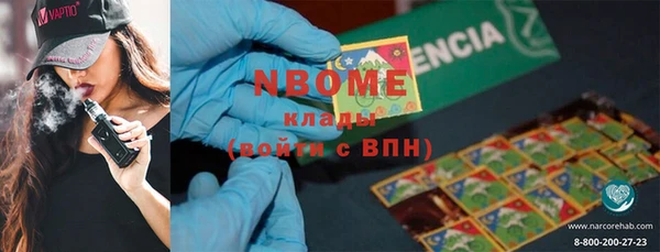шишки Гусиноозёрск