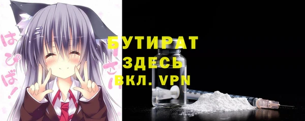 шишки Гусиноозёрск
