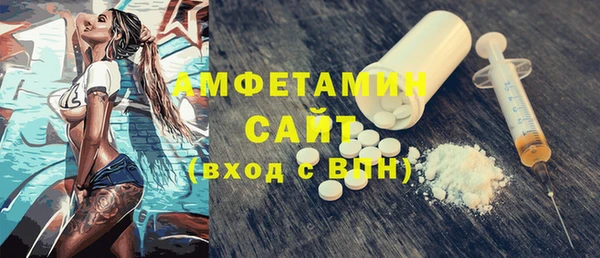 шишки Гусиноозёрск