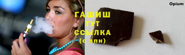 шишки Гусиноозёрск