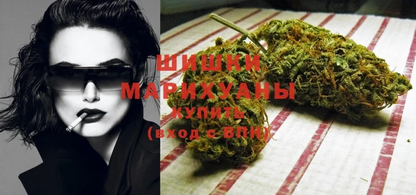 шишки Гусиноозёрск