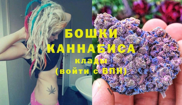 шишки Гусиноозёрск