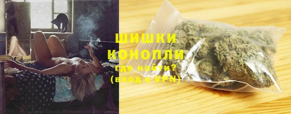 шишки Гусиноозёрск